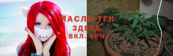 гидропоника Инсар