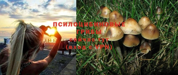 гидропоника Инсар