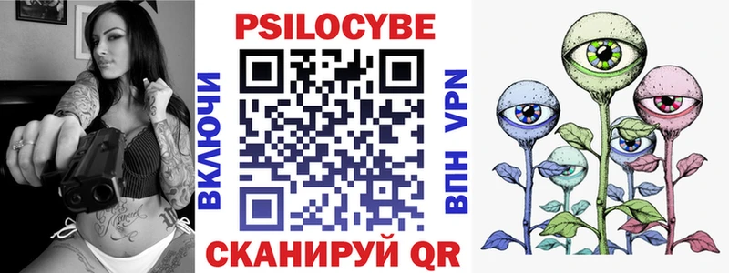 Купить где  Кудрово  Псилоцибиновые грибы GOLDEN TEACHER 