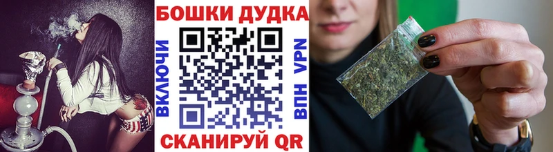Бошки марихуана OG Kush  Купить закладки  Кудрово 